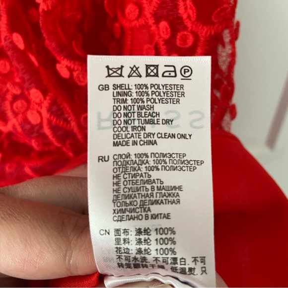 Red Reiss Lace Dress - Picture 5 of 6